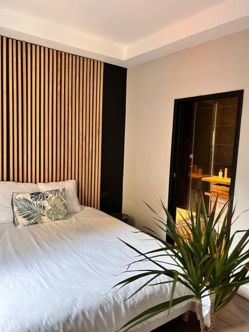 Appartement Cosy Centre Ajaccio Ajaccio  Exteriér fotografie